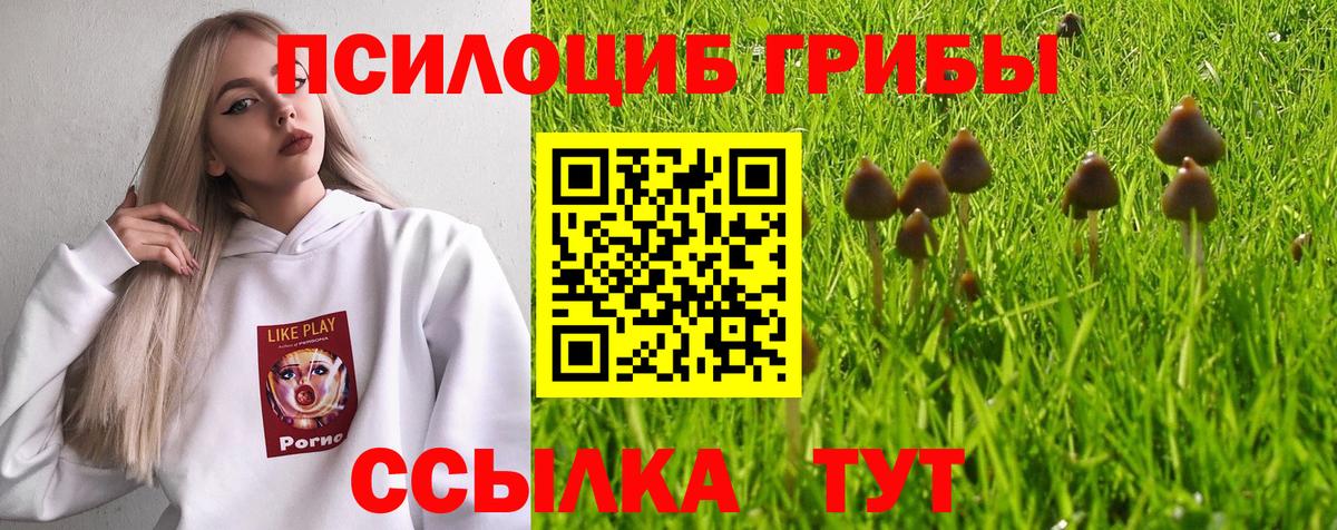 Ишим  Псилоцибиновые грибы GOLDEN TEACHER  Вход с VPN 